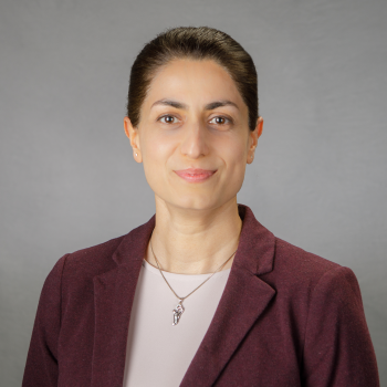 Photo of Dr. Elham Erfanian